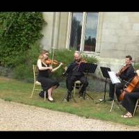 Shows / Artist Kings String Quartet in Great Malvern England
