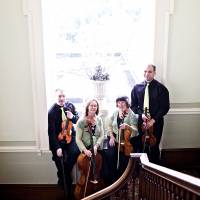 Shows / Artist The String Quartet Company in Cardiff Wales